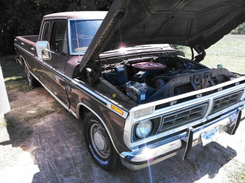 1976 Ford F-150 photo