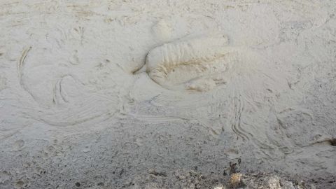 1987 Ford Bronco - The image shows a textured surface that appears to be mud with tire tracks, along with a Supermotors logo in the corner.