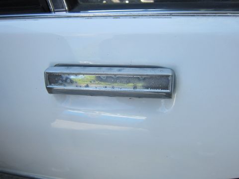 2001 Ford Crown Victoria - Close-up of pitted chrome trim on a white vehicle door.