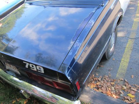 2001 Ford Crown Victoria - The rear of a dark blue sedan shows peeling paint on the trunk lid, with the number 799 visible.