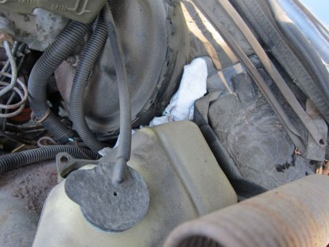 2001 Ford Crown Victoria - A view of various engine components, including hoses and a fluid reservoir, with some rags tucked away.