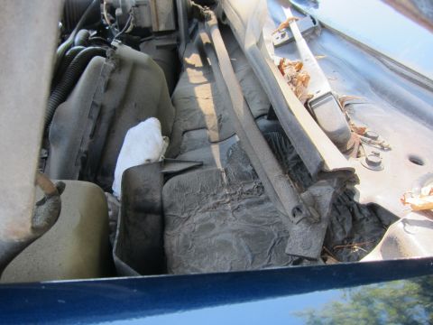2001 Ford Crown Victoria - The engine bay of a vehicle shows various components and accumulated debris.