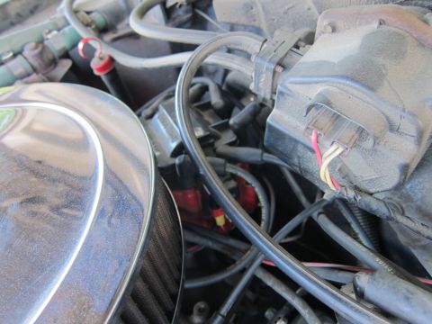 2001 Ford Crown Victoria - Engine bay detail with air cleaner and distributor visible.