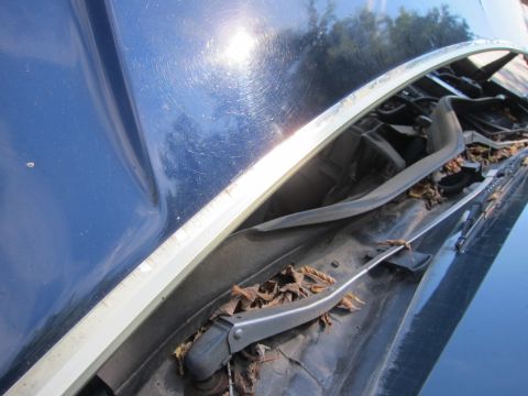 2001 Ford Crown Victoria - Photograph of a car cowl and wiper arm, not a technical document.