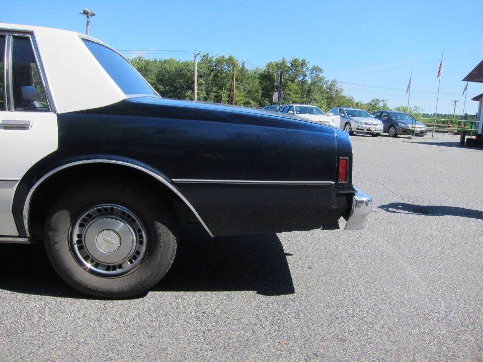 Rear quarter panel and wheel of a black and white police car parked in a lot with other cars visible