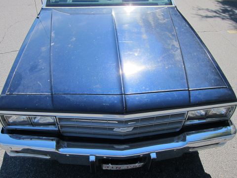2001 Ford Crown Victoria - Front view of a blue car's hood and grille, showing the chrome bumper and headlights.