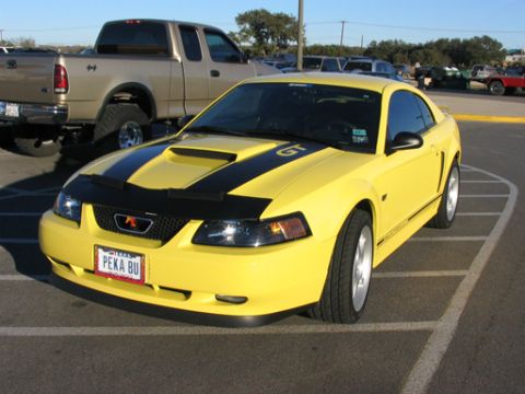2003 Ford Mustang photo