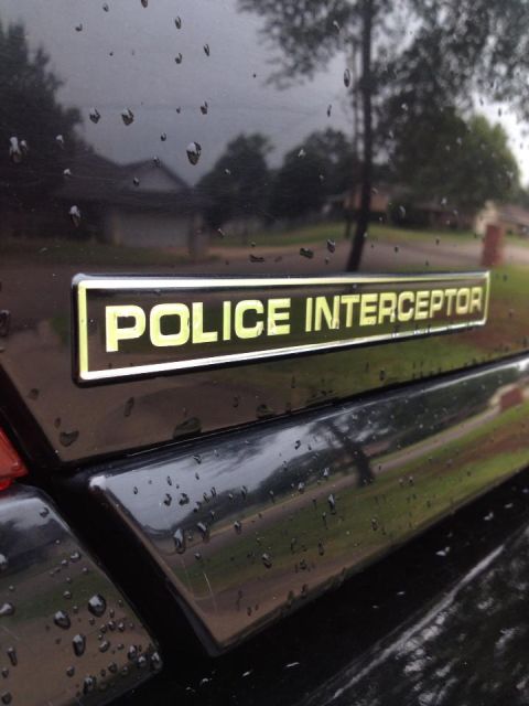 2007 Ford Crown Victoria photo
