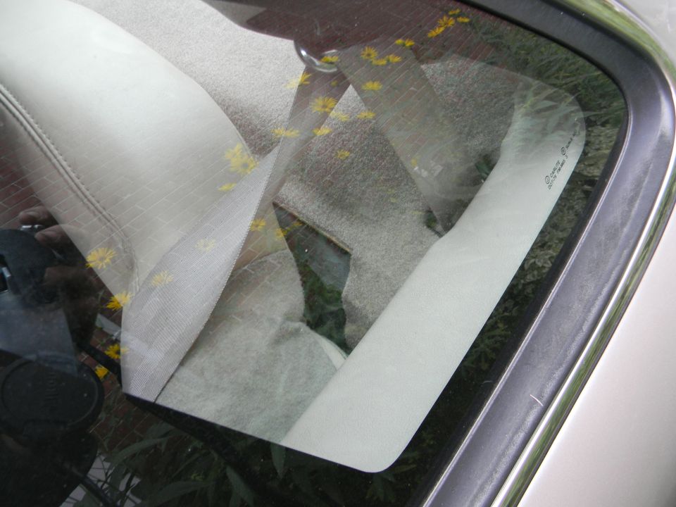 Interior view of a car seat and window with yellow flowers visible on the glass