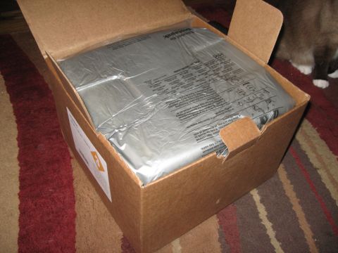 1981 Ford Bronco - A cardboard box holds a silver-wrapped item, placed on a rug with a cat nearby.