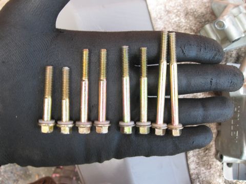 1981 Ford Bronco - A collection of bolts of varying lengths are displayed on a gloved hand, with a partial metal component visible in the background.