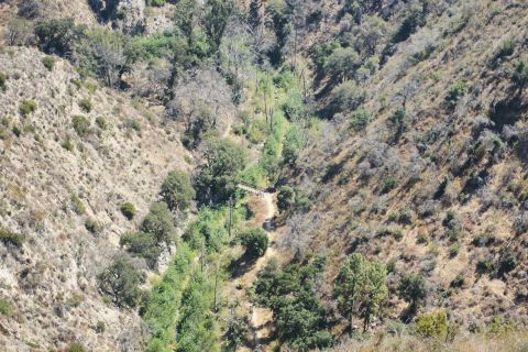 1995 Ford Taurus - A remote, arid hillside is traversed by a narrow dirt path, with scattered trees and brush dotting the slopes.
