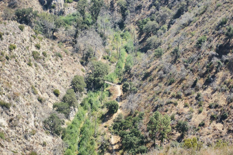Dry, hilly landscape with a winding dirt path and sparse vegetation