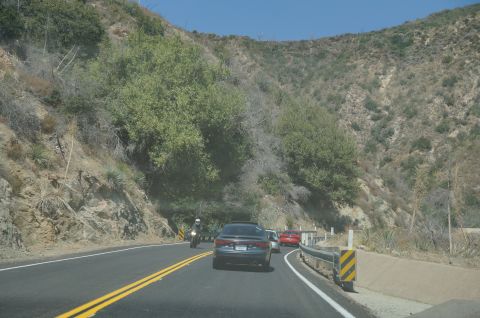 1995 Ford Taurus - A dark sedan is seen from behind on a winding road, with a motorcycle and other vehicles also present.