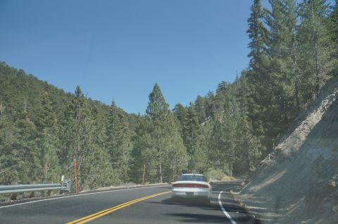 1995 Ford Taurus - A white sedan travels along a scenic mountain road bordered by dense pine forests under a clear blue sky.