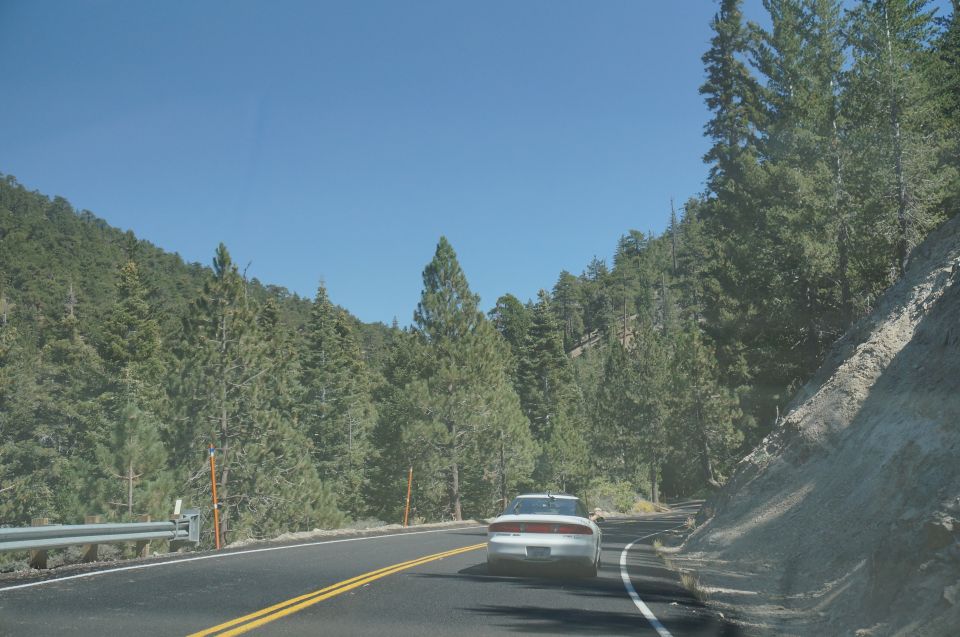 White sedan from rear view on a mountain road with pine trees