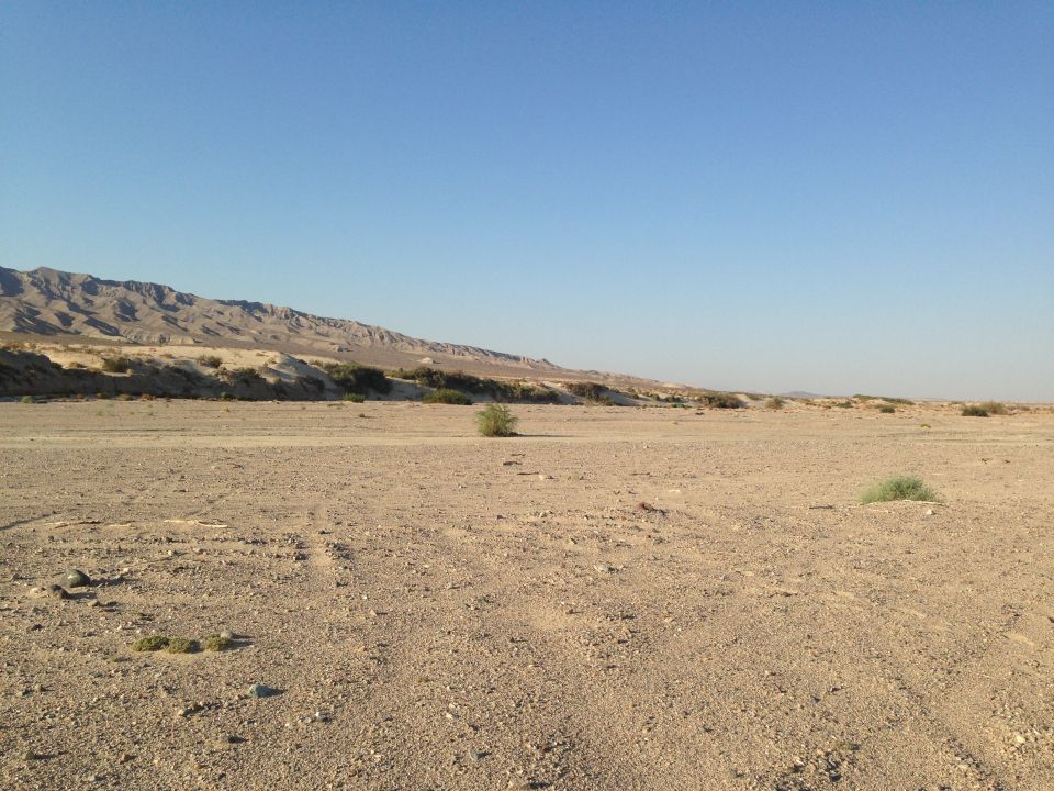Desert landscape with mountains in the background and sparse vegetation