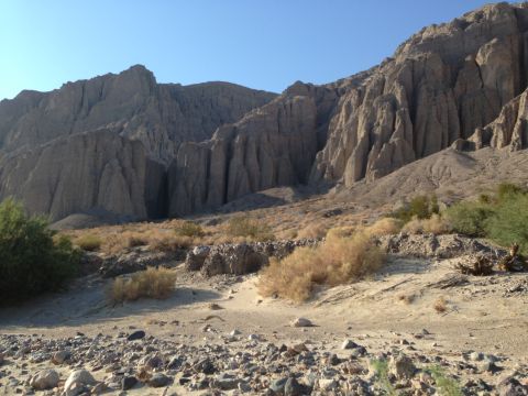 1986 Ford Bronco - Desert landscape with eroded rock formations and sparse vegetation under a clear sky.