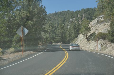 1995 Ford Taurus - A white sedan navigates a scenic mountain road, with dense pine forests and rocky terrain lining the route.