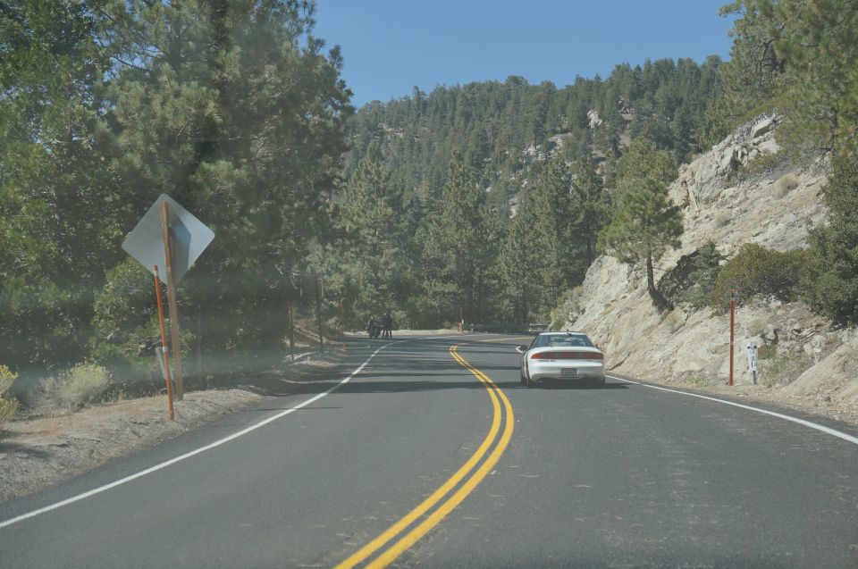 White sedan seen from behind on a winding mountain road with pine trees and rocky slopes