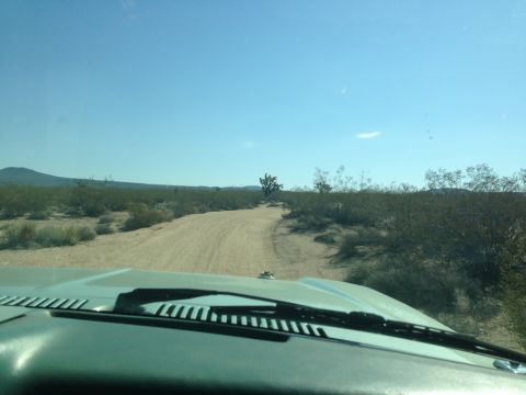 1986 Ford Bronco - Driving on a dirt road through a desert landscape under a clear blue sky.