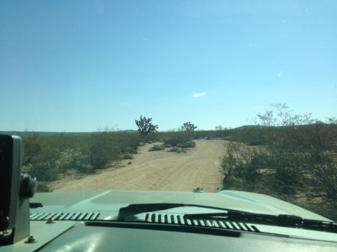 1986 Ford Bronco - Driving through a desert landscape with sparse vegetation and a clear blue sky overhead.