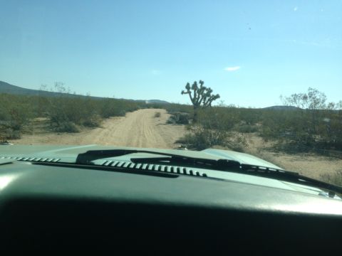 1986 Ford Bronco - View from inside a vehicle driving on a dirt road through a desert landscape.