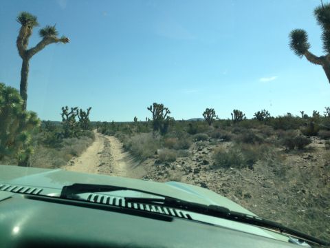 1986 Ford Bronco - Driving on a dirt road through a desert landscape with Joshua trees under a clear blue sky.