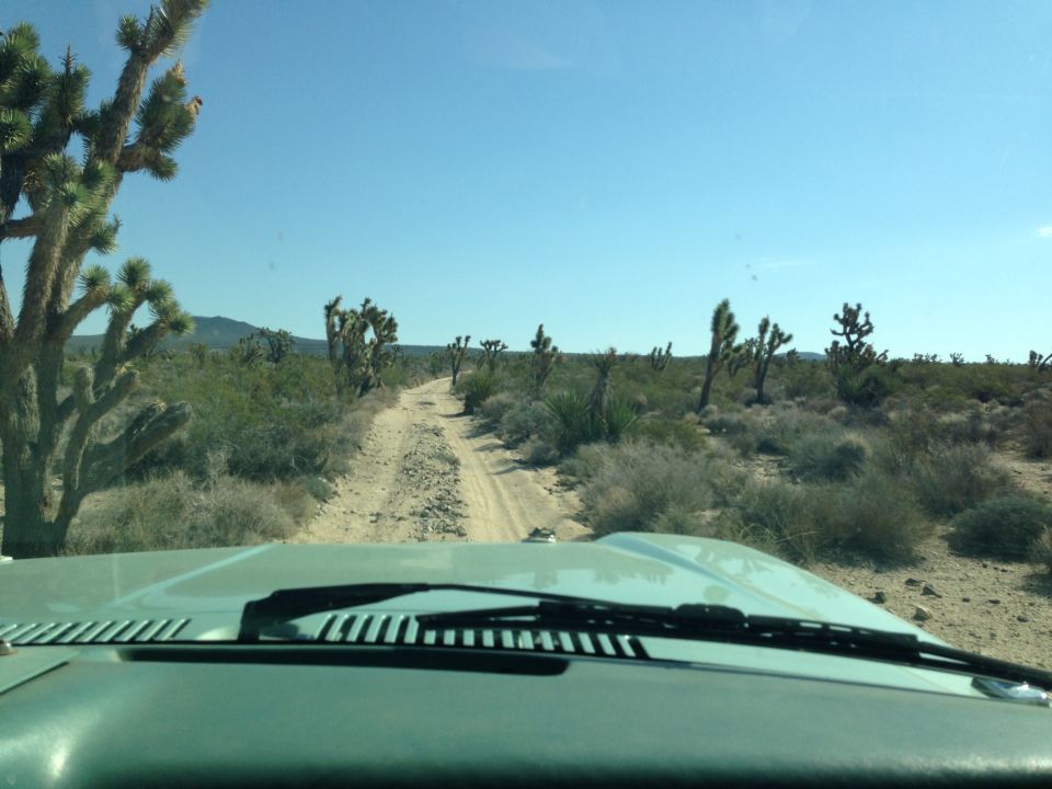 Light blue vehicle hood and windshield wipers on a dirt road in a desert with Joshua trees