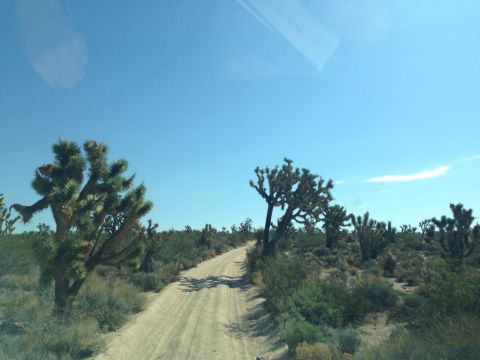 1986 Ford Bronco - A dusty road winds through a desert landscape dotted with Joshua trees under a clear blue sky.