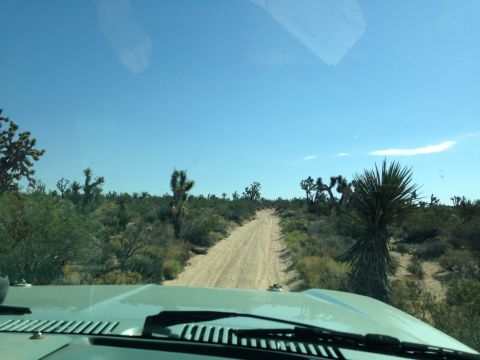1986 Ford Bronco - The view from inside a vehicle driving on a dusty desert road.