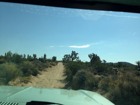 1986 Ford Bronco - Driving on a dusty desert trail with sparse vegetation and a clear blue sky overhead.
