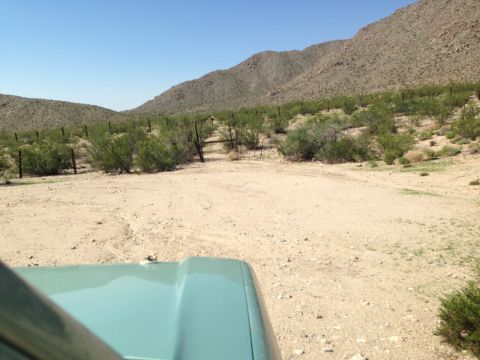 1986 Ford Bronco - View from the driver's seat of a 1986 Ford Bronco on a desert trail.