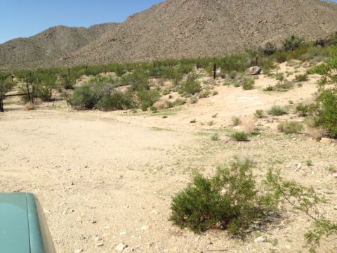 1986 Ford Bronco - Desert scene with mountains and vegetation, a portion of a vehicle in the foreground.
