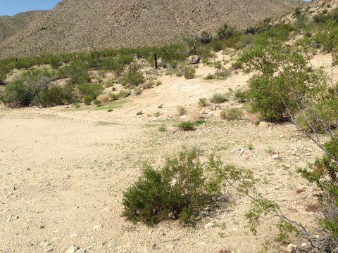 1986 Ford Bronco - A dry, arid landscape with sparse vegetation and rocky terrain, suggesting a remote off-road location.