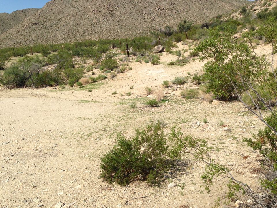 Desert landscape with scrub brush, rocks, and a distant mountain under a clear blue sky. A watermark reads SUPERMOTORS.NET