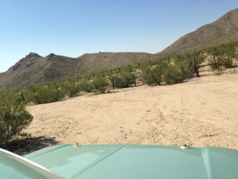1986 Ford Bronco - View from inside a light blue vehicle driving through a desert landscape with mountains in the background.