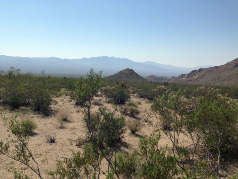 1986 Ford Bronco - A wide desert vista with mountains in the distance and sparse vegetation in the foreground.
