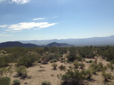 1986 Ford Bronco - Expansive desert scenery with low-lying vegetation and hazy mountains in the distance.