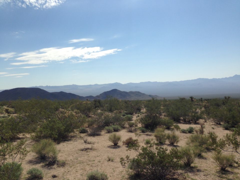 Desert landscape with scrub brush and distant mountains under a blue sky