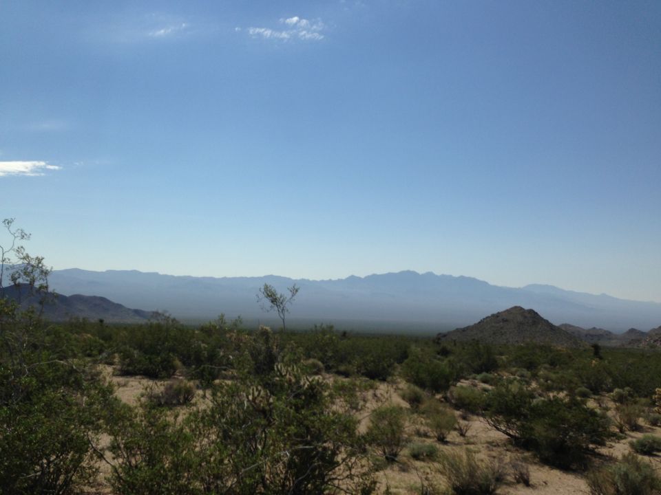 Desert mountains and scrub under a clear blue sky. A small tree stands in the middle distance