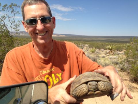 1986 Ford Bronco - Man holding a desert tortoise with a vast desert landscape behind him under a clear blue sky.