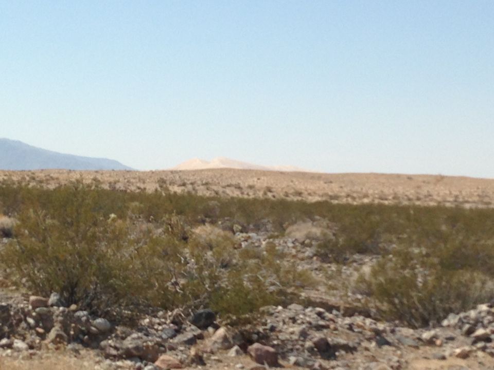 Desert landscape with scrub brush, rocks, and distant sand dunes under a clear blue sky