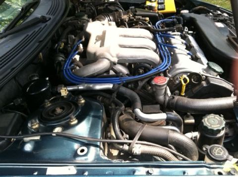 1997 Ford Probe - Close-up view of a V6 engine bay, the intake manifold and blue spark plug wires.
