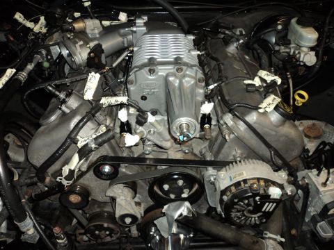 2004 Mercury Grand Marquis - Close-up of a supercharged V8 engine, identified by Ford 5.0 badging on the supercharger unit.
