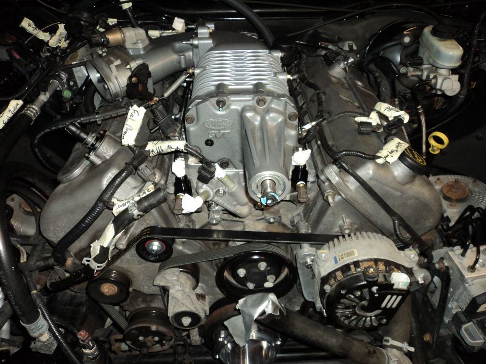 Supercharged V8 engine with Ford 5.0 badging, showing supercharger, alternator, and belt system