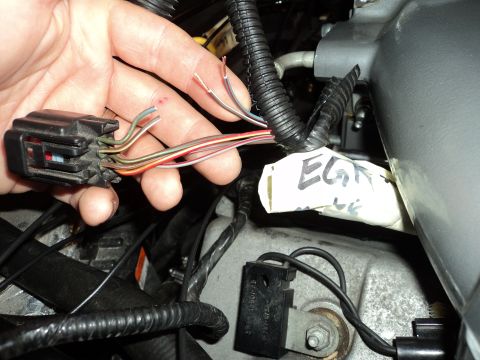 2004 Mercury Grand Marquis - Close-up of a hand holding a wiring harness connector with several wires, near a component labeled 'EGR'.