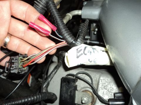 2004 Mercury Grand Marquis - Close-up of a vehicle's engine wiring harness with disconnected connectors and a handwritten label.