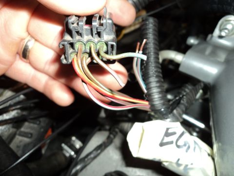 2004 Mercury Grand Marquis - Close-up of a vehicle's wiring harness connector, showing various colored wires and a label marked 'EGM'.