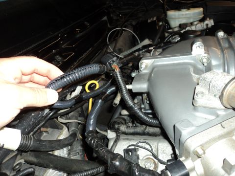 2004 Mercury Grand Marquis - Close-up view of engine bay wiring, showing a hand holding a protective conduit near the intake manifold.